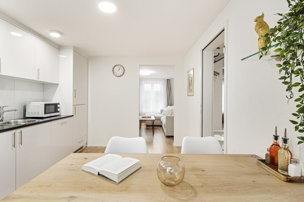 Renoviertes Apartment mit 1 Schlafzimmer – Felsenstrasse – Apartmentfoto 6