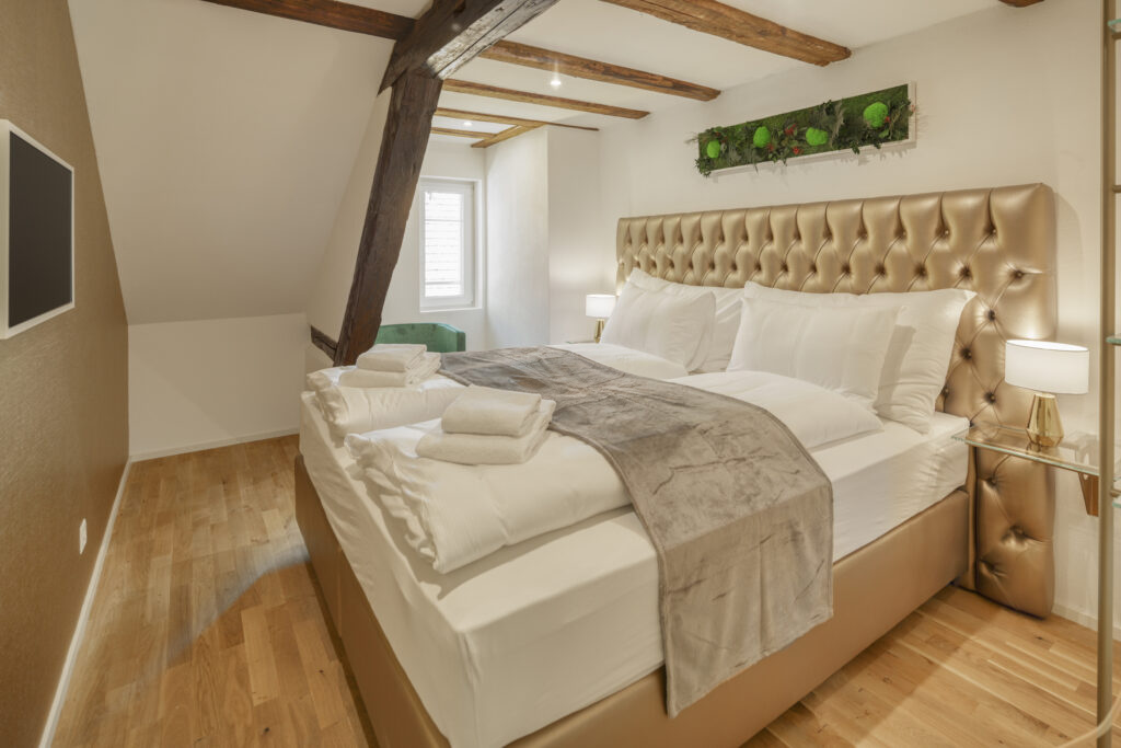 Modernes Apartment mit 2 Schlafzimmern – Steigerstrasse – Apartmentfoto 9